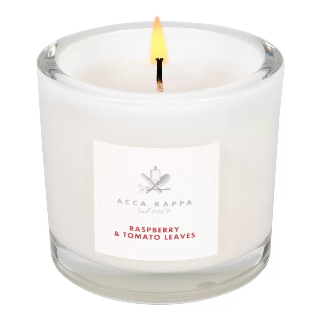 Raspberry & Tomato Leaves Candle