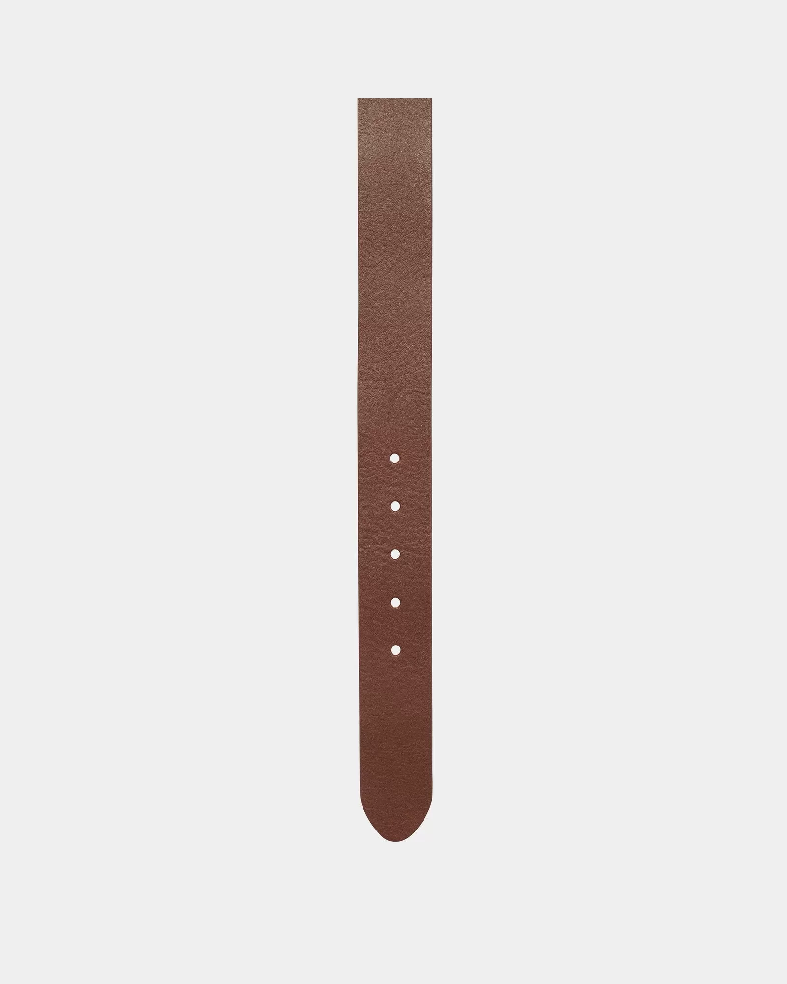 Script Belt | Cognac