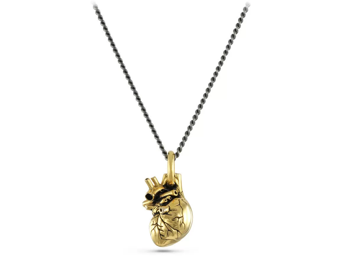 Small Anatomical Heart Necklace - Gold