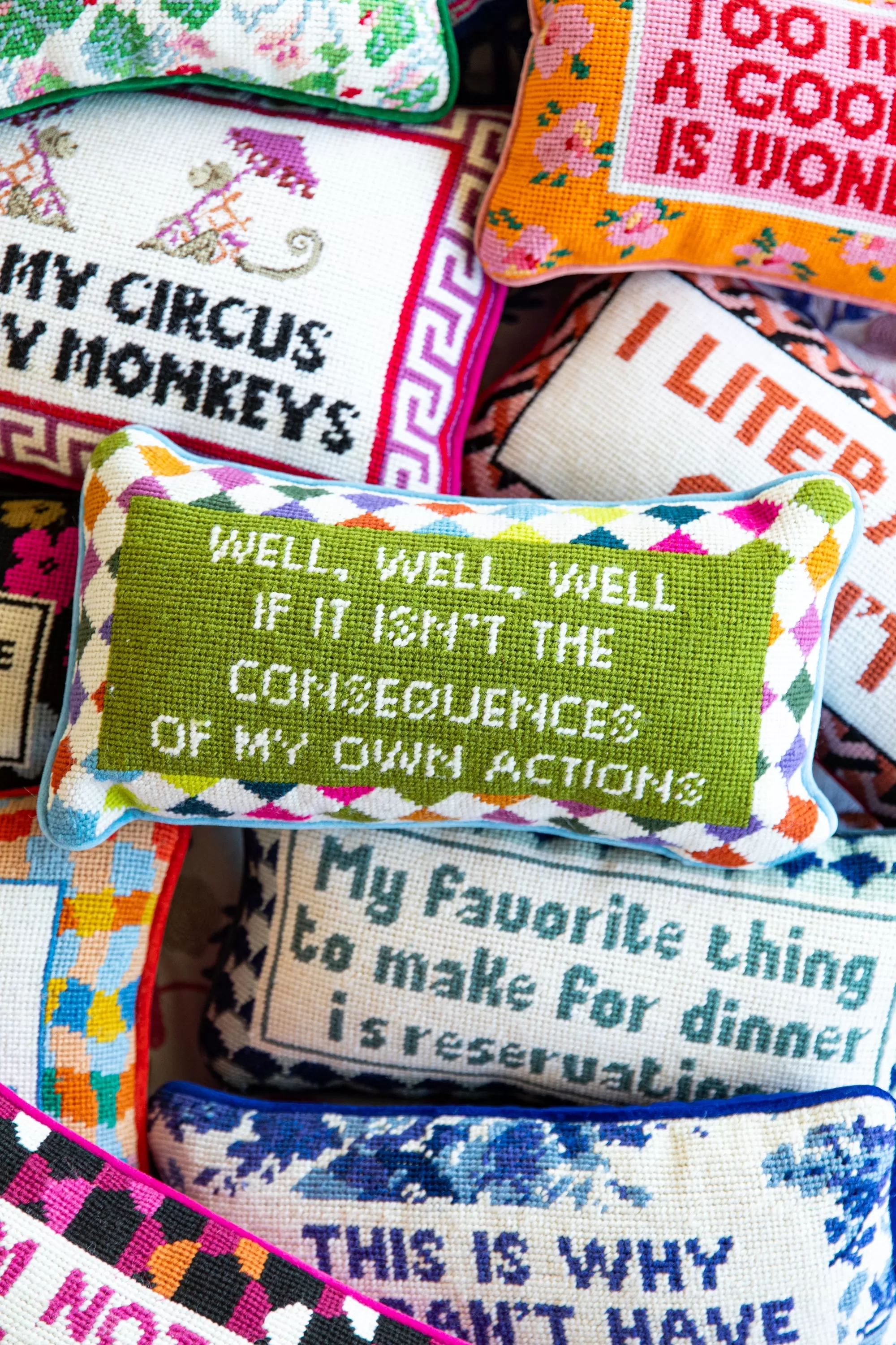 Well Well Well Needlepoint Pillow